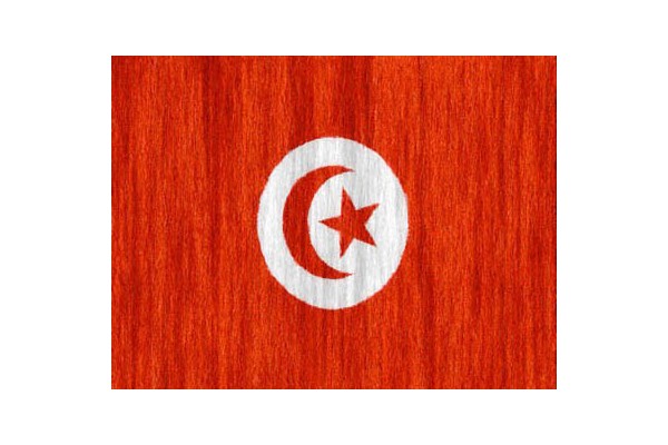 جمهورية تونس